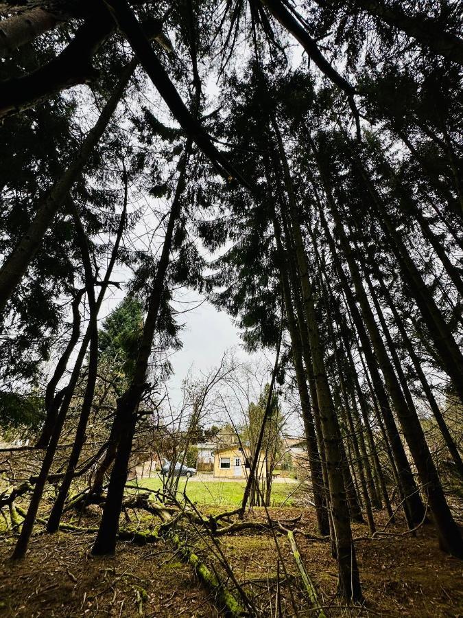 Ferienhaus Biber Godendorf  Exteriör bild